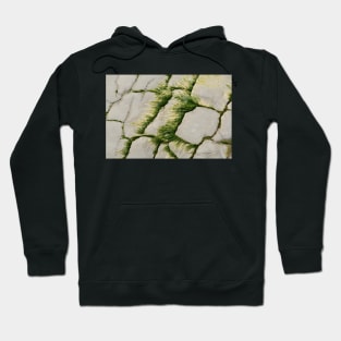 Sea Grass Hoodie